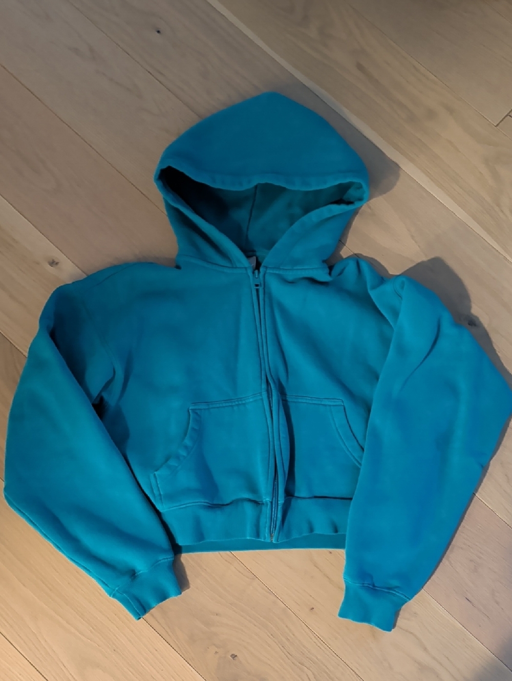 Aritzia Cozy Fleece Boyfriend Hoodie